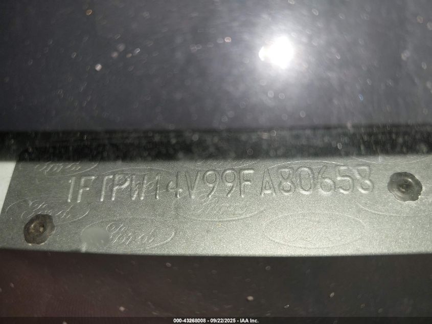 2009 Ford F-150 Fx4/King Ranch/Lariat/Platinum/Xl/Xlt VIN: 1FTPW14V99FA80658 Lot: 43268008