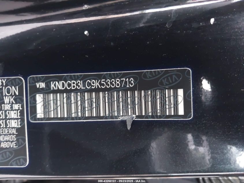 2019 Kia Niro Lx VIN: KNDCB3LC9K5338713 Lot: 43268181