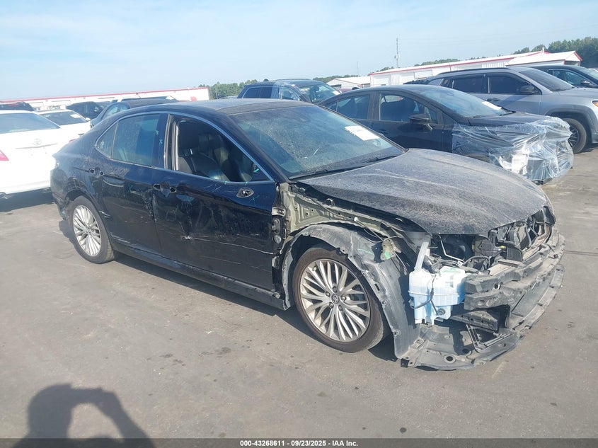 2019 TOYOTA CAMRY XLE V6 - 4T1BZ1HK1KU507488