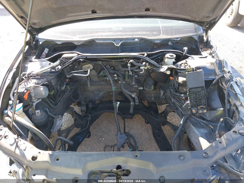 2004 Acura Tsx VIN: JH4CL96864C028085 Lot: 43268645