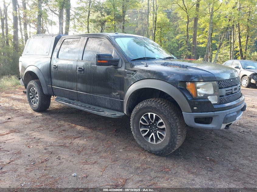 FORD F-150 SVT RAPTOR