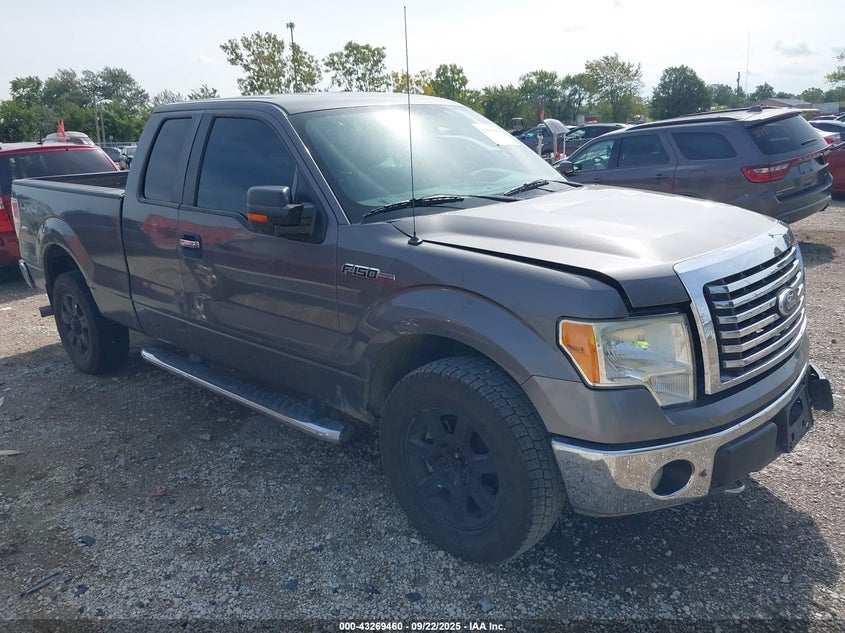FORD F-150 XLT