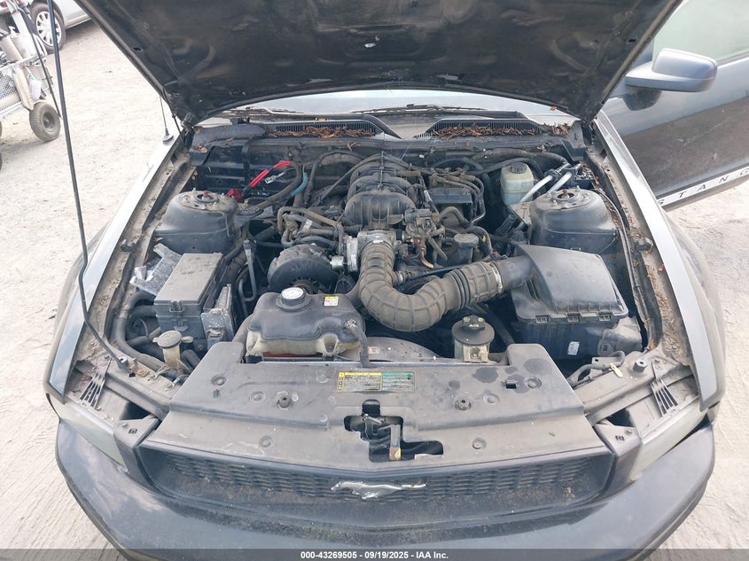 2005 Ford Mustang V6 Deluxe/V6 Premium VIN: 1ZVFT80N755129159 Lot: 43269505
