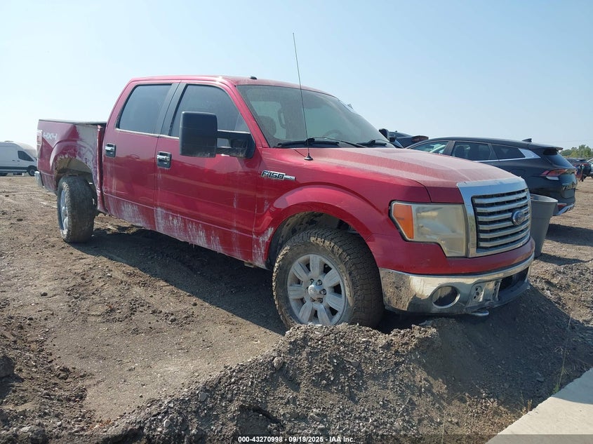 1FTFW1EV2AFD54099 2010 Ford F-150 Fx4/Harley-Davidson/King Ranch/Lariat/Platinum/Xl/Xlt auction photo 1
