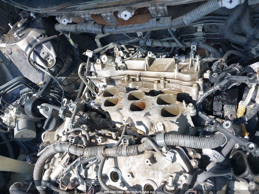 2011 Toyota Sienna Xle V6 VIN: 5TDYK3DC1BS122532 Lot: 43271960