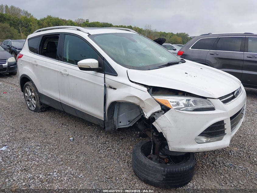 2014 FORD ESCAPE TITANIUM - 1FMCU9J95EUB77741