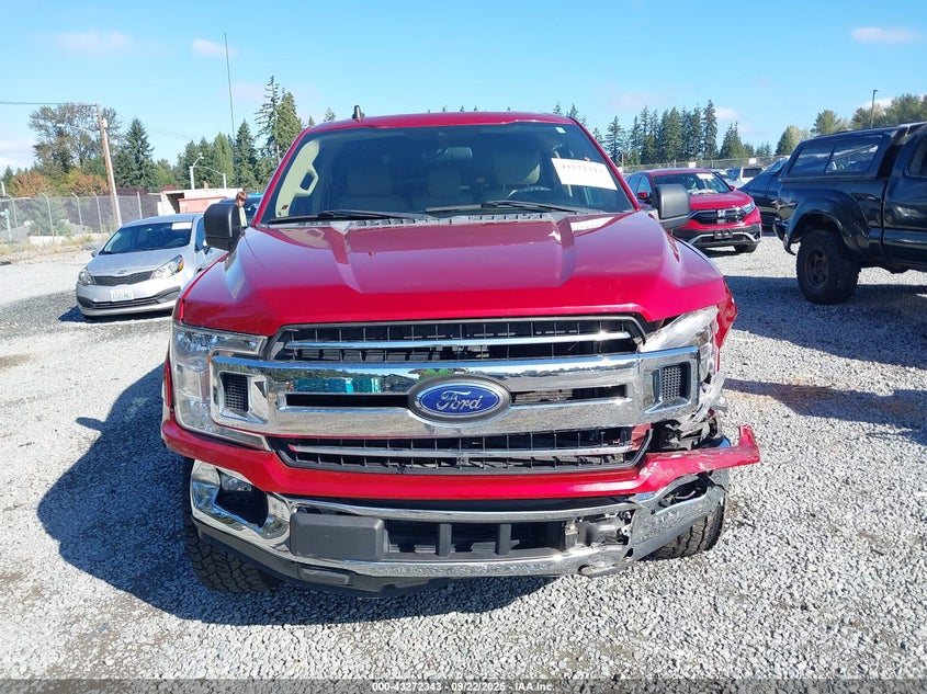 2019 FORD F-150 XLT - 1FTEW1CP8KKD46906