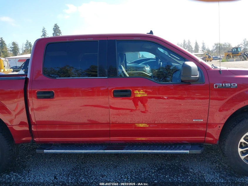 2019 FORD F-150 XLT - 1FTEW1CP8KKD46906