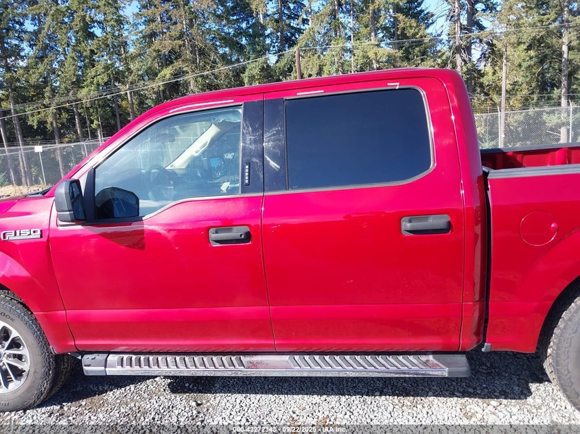 2019 FORD F-150 XLT - 1FTEW1CP8KKD46906