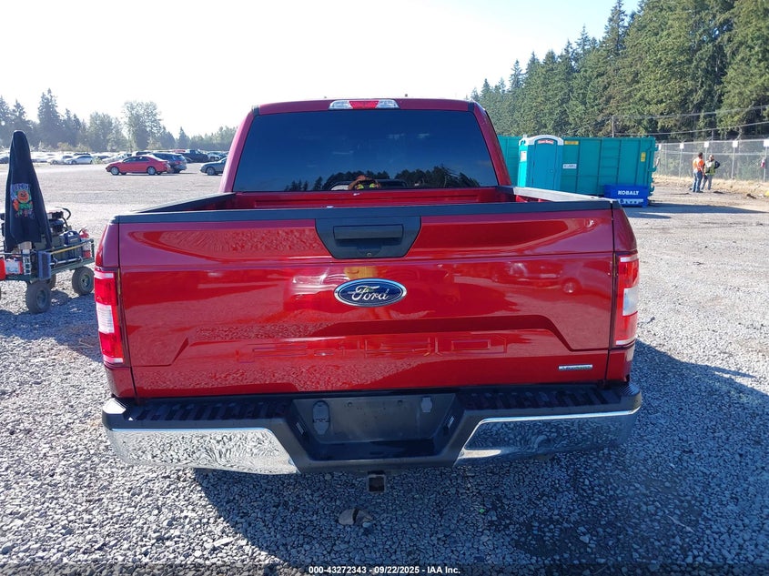 2019 FORD F-150 XLT - 1FTEW1CP8KKD46906