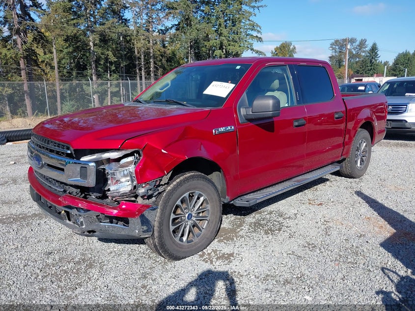2019 FORD F-150 XLT - 1FTEW1CP8KKD46906