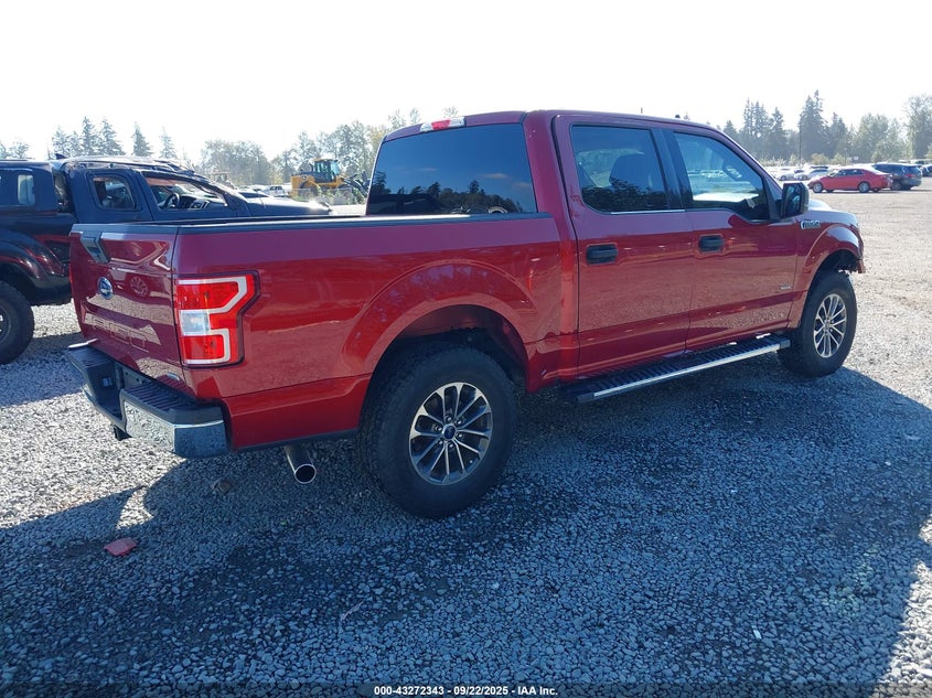 2019 FORD F-150 XLT - 1FTEW1CP8KKD46906