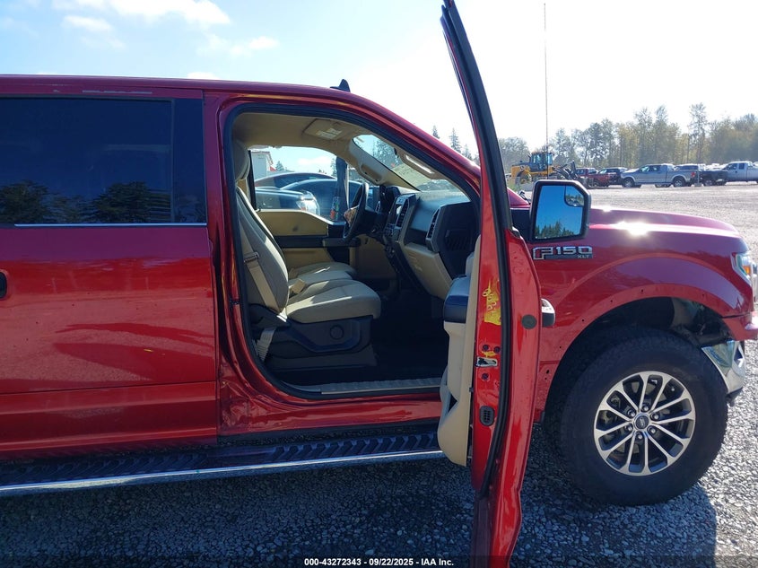 2019 FORD F-150 XLT - 1FTEW1CP8KKD46906