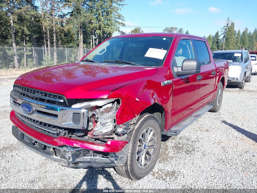 2019 FORD F-150 XLT - 1FTEW1CP8KKD46906