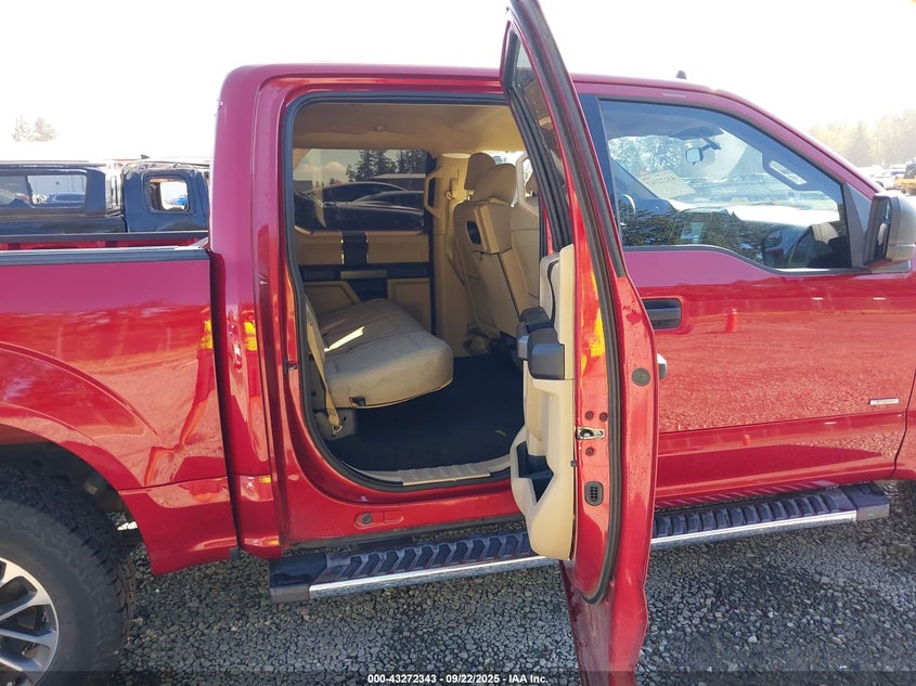 2019 FORD F-150 XLT - 1FTEW1CP8KKD46906