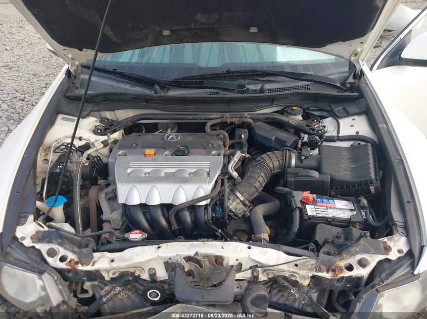 2009 Acura Tsx VIN: JH4CU26699C012859 Lot: 43272716