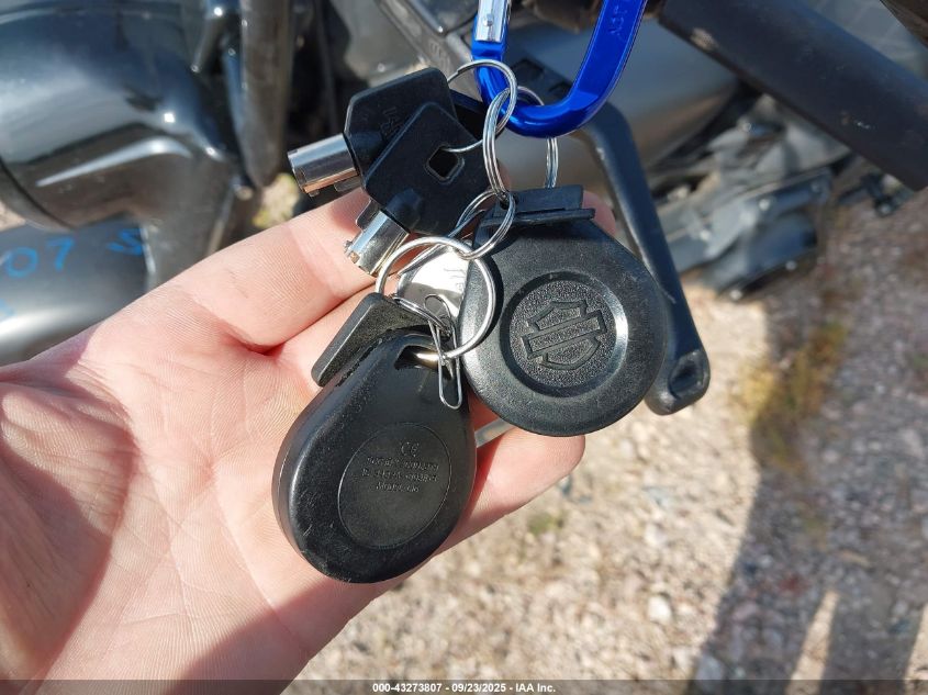 2010 Harley-Davidson Flstf VIN: 1HD1BX511AB038317 Lot: 43273807