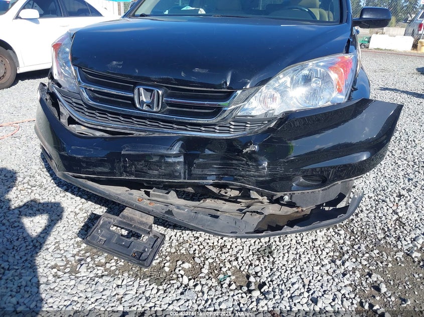 2010 Honda Cr-V Ex-L VIN: 5J6RE4H79AL040623 Lot: 43274115