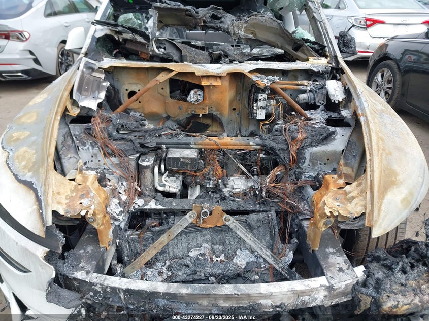 2026 Tesla Model Y Long Range Dual Motor All-Wheel Drive/Long Range Launch Series VIN: 7SAYGDEE9TF339892 Lot: 43274227