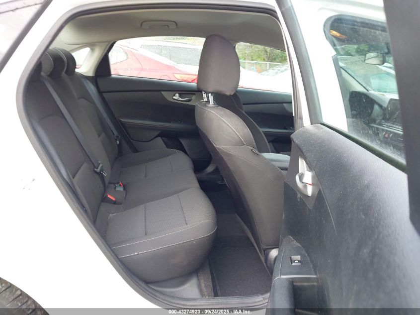 2019 Kia Forte Fe VIN: 3KPF24AD6KE097390 Lot: 43274923