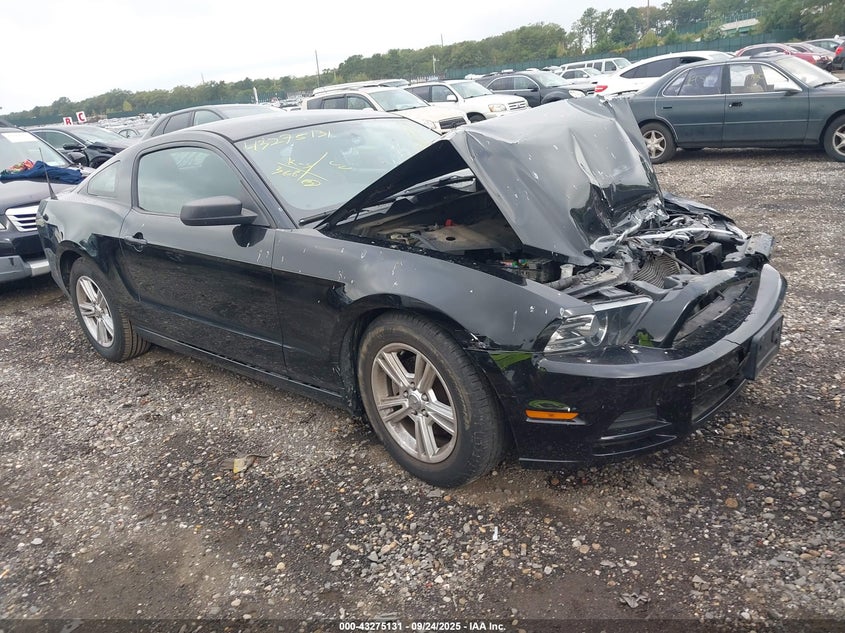 2014 FORD MUSTANG V6 - 1ZVBP8AM3E5214234