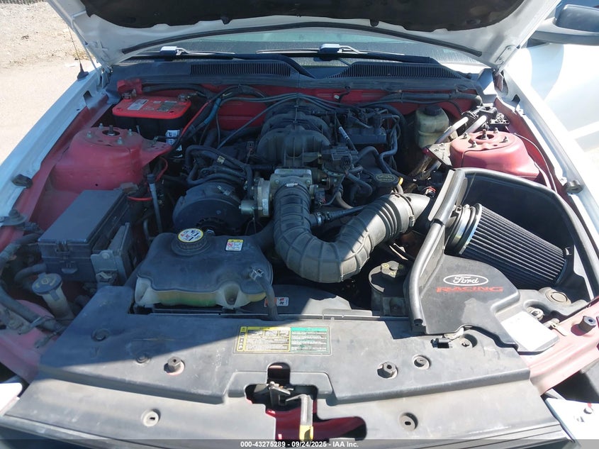 2005 Ford Mustang V6 Deluxe/V6 Premium VIN: 1ZVFT80N955128353 Lot: 43275289