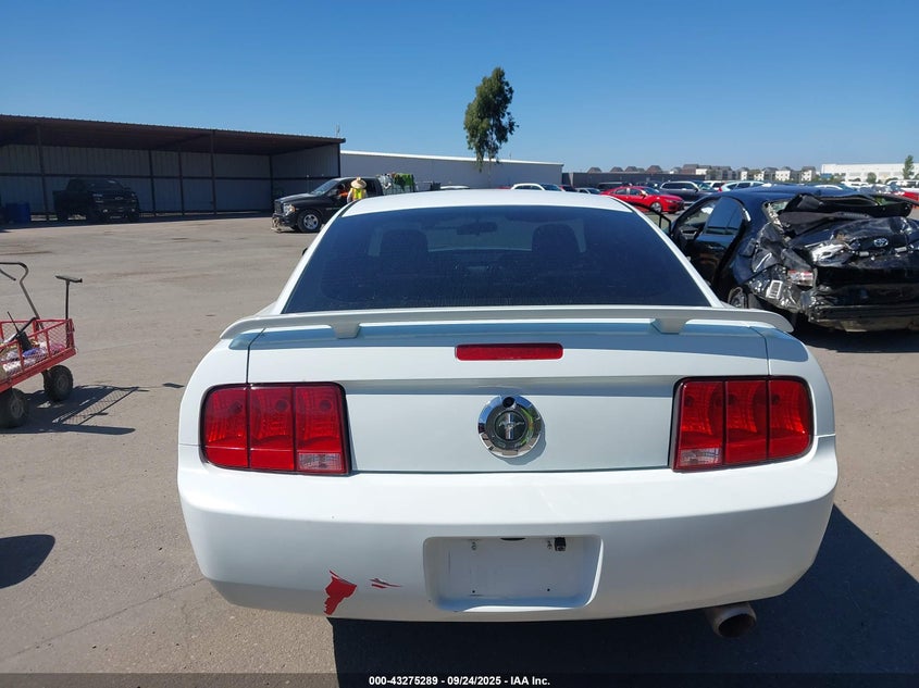 2005 Ford Mustang V6 Deluxe/V6 Premium VIN: 1ZVFT80N955128353 Lot: 43275289