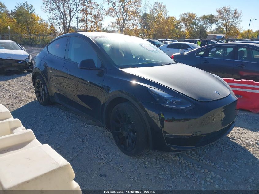 TESLA MODEL Y MODEL Y