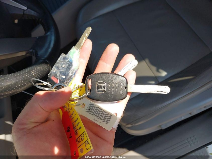 2009 Honda Pilot Ex-L VIN: 5FNYF48619B041950 Lot: 43275587