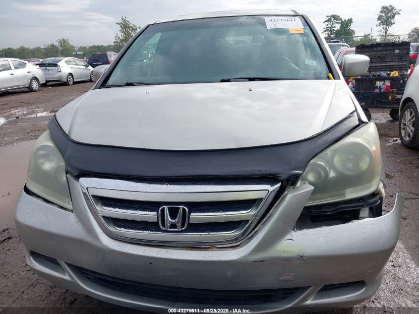 2005 Honda Odyssey Ex-L VIN: 5FNRL38625B005296 Lot: 43275611