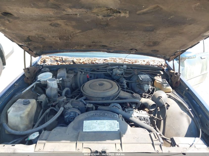 1989 Chevrolet Caprice Classic VIN: 1G1BN81Y6KR118381 Lot: 43276359