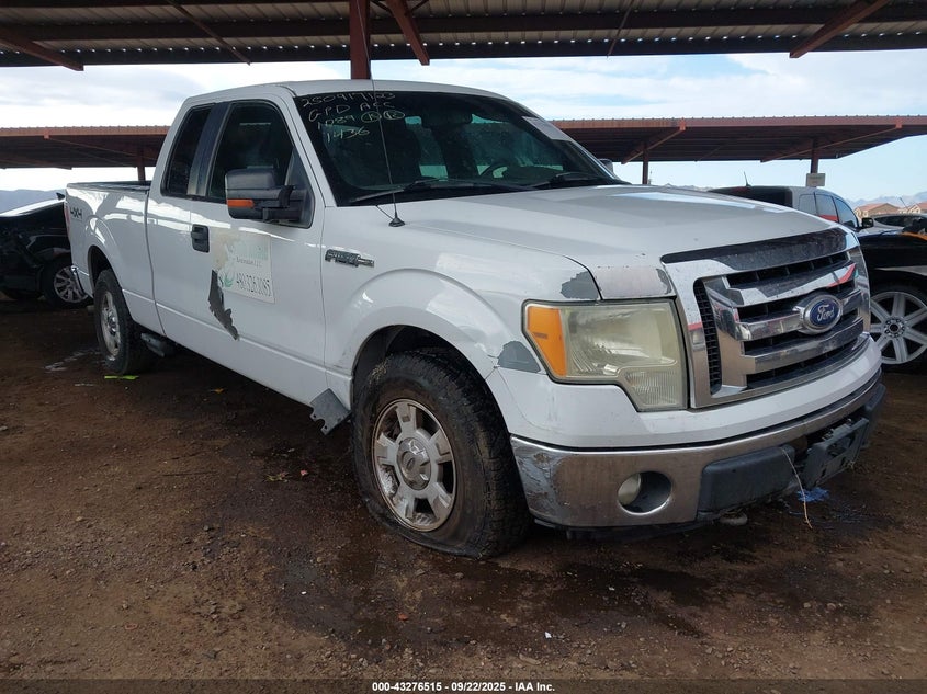 FORD F-150 XLT