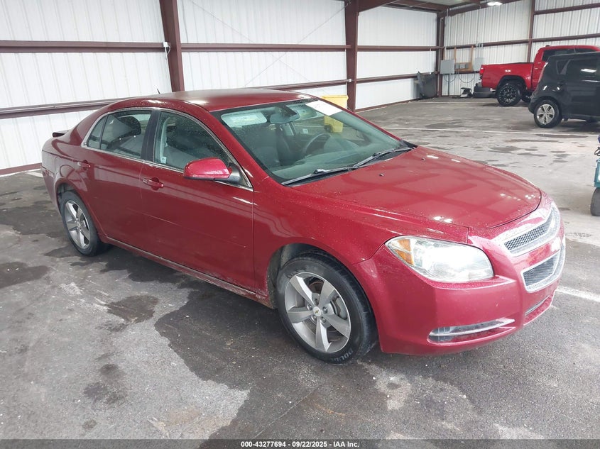 CHEVROLET MALIBU 1LT