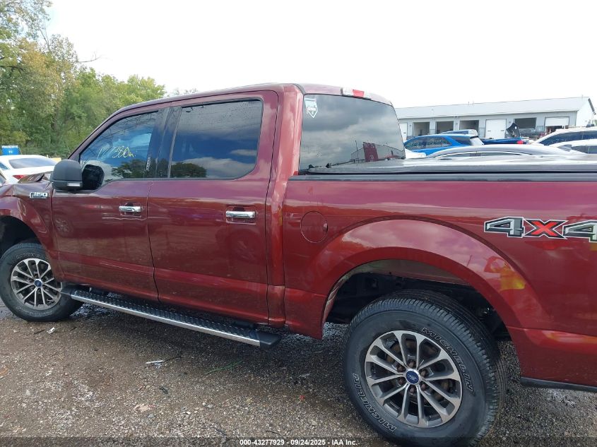 2016 Ford F-150 Xlt VIN: 1FTEW1E80GKD27702 Lot: 43277929