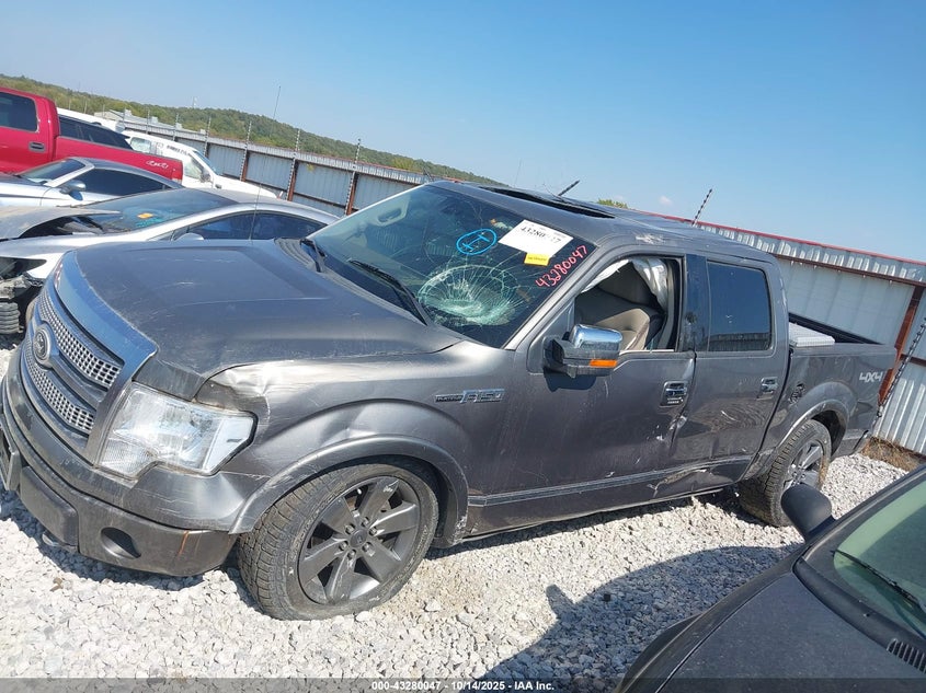 2009 Ford F-150 Platinum VIN: 1FTPW14V99FA40418 Lot: 43280047