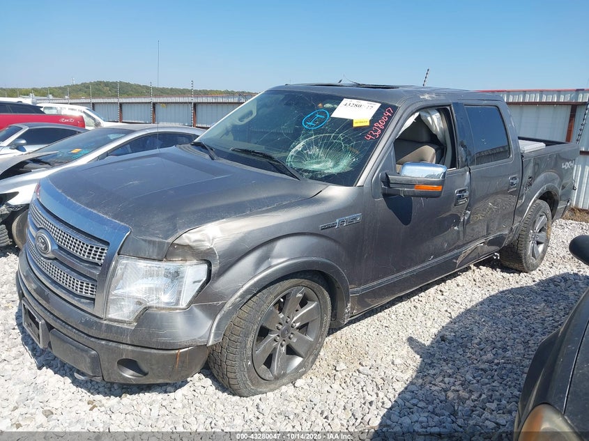 2009 Ford F-150 Platinum VIN: 1FTPW14V99FA40418 Lot: 43280047