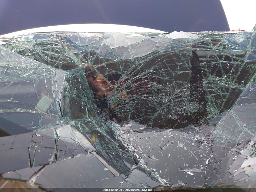 2025 Tesla Model 3 Long Range Rear-Wheel Drive VIN: 5YJ3E1EA1SF882970 Lot: 43280109