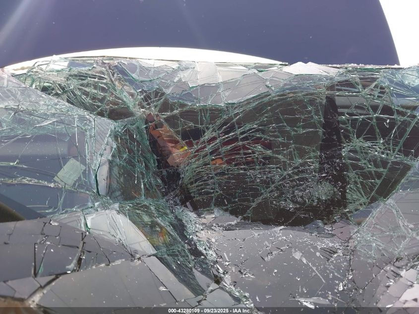 2025 Tesla Model 3 Long Range Rear-Wheel Drive VIN: 5YJ3E1EA1SF882970 Lot: 43280109