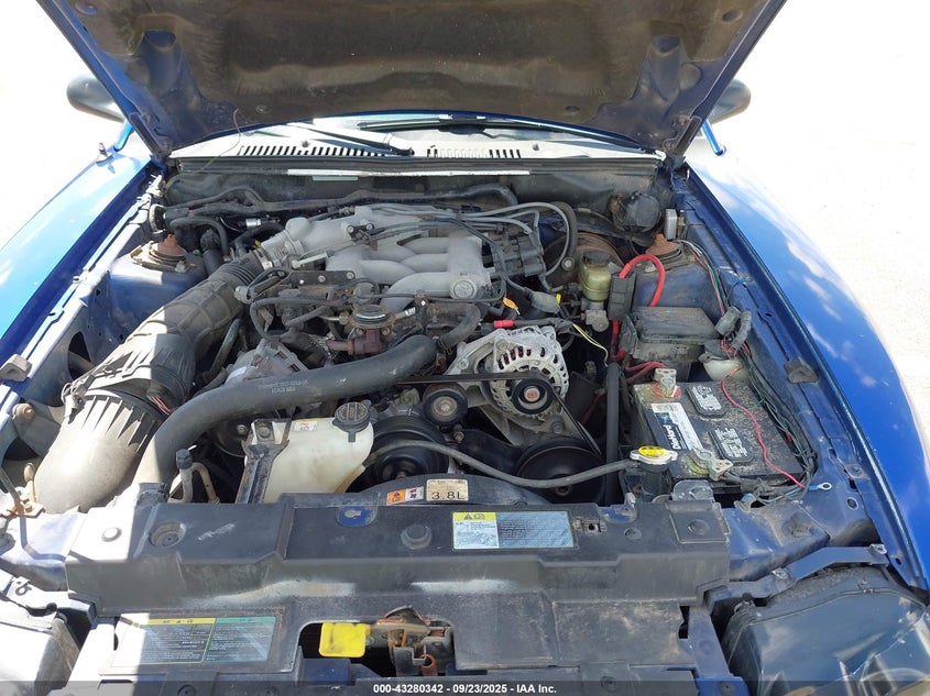 2003 Ford Mustang VIN: 1FAFP404X3F349092 Lot: 43280342