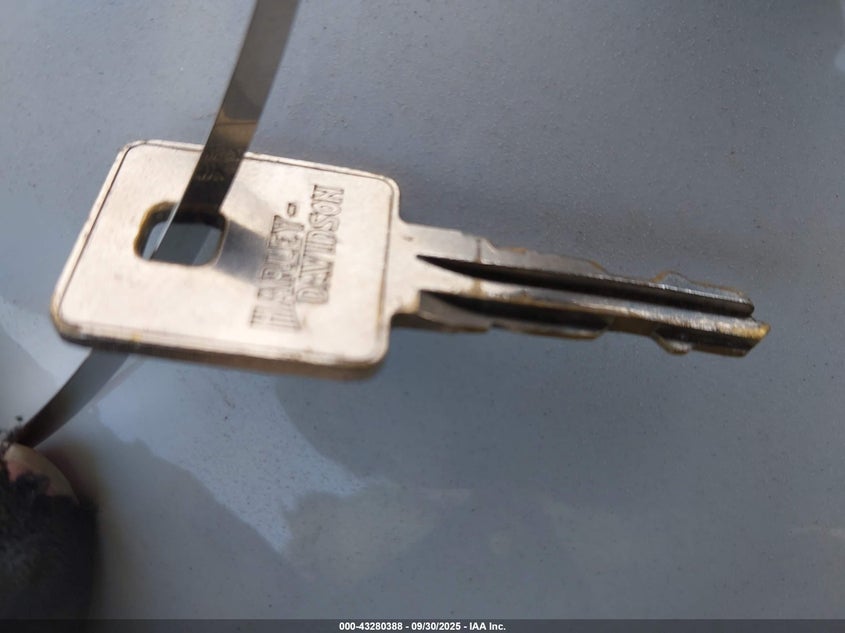 2021 Harley-Davidson Xl1200 Ns VIN: 1HD1LP314MB413010 Lot: 43280388