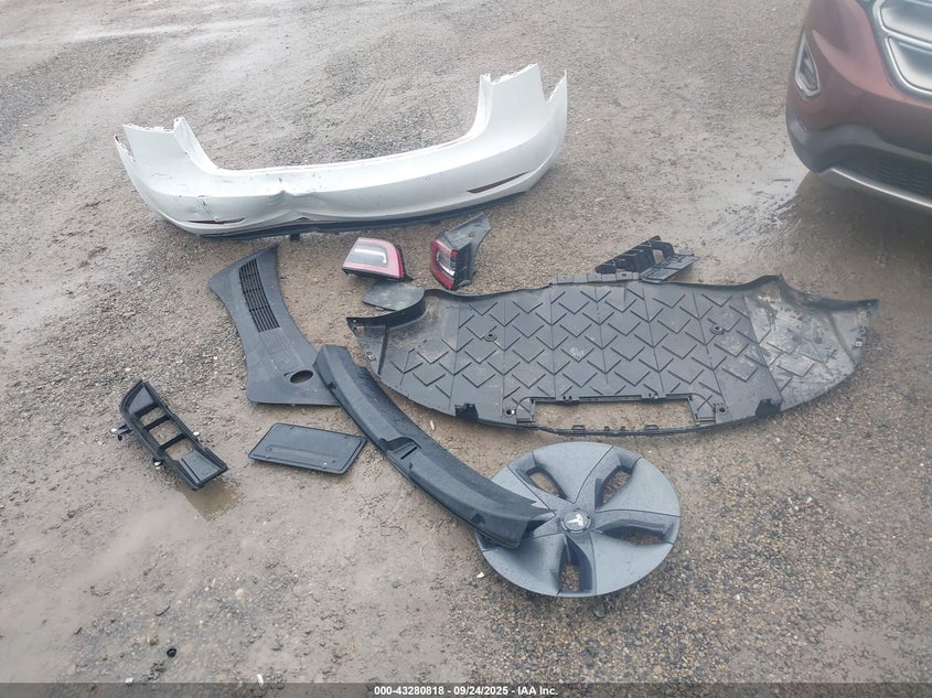 2019 Tesla Model 3 Long Range/Performance VIN: 5YJ3E1EB0KF494508 Lot: 43280818