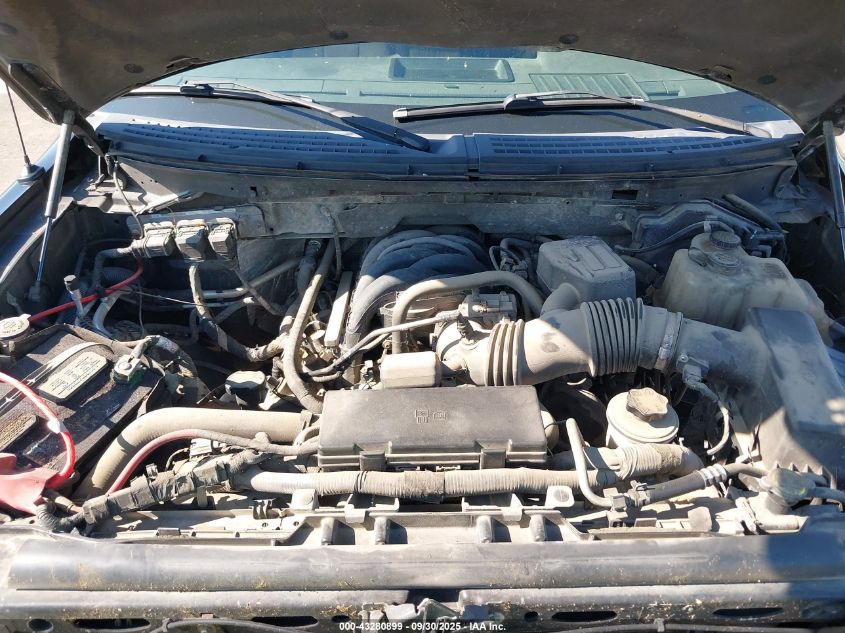 2010 Ford F-150 Stx/Xl/Xlt VIN: 1FTEX1E86AFC82195 Lot: 43280899