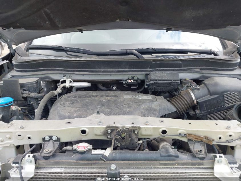 2019 Honda Pilot Ex-L VIN: 5FNYF5H57KB031636 Lot: 43281103