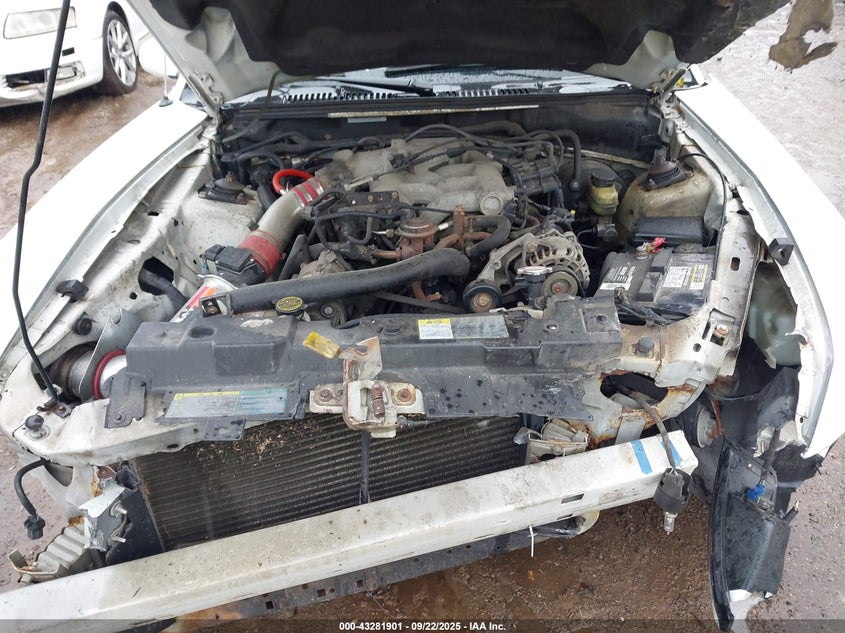 2004 Ford Mustang VIN: 1FAFP404X4F127394 Lot: 43281901