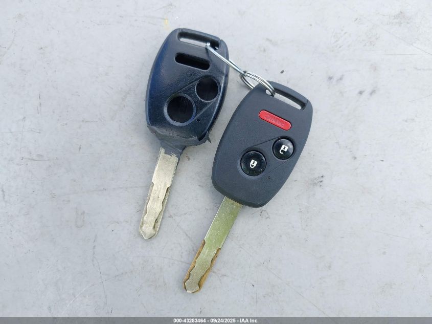 2007 Honda Cr-V Ex VIN: JHLRE38587C037769 Lot: 43283464