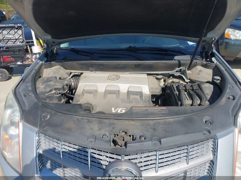 2010 Cadillac Srx Luxury Collection VIN: 3GYFNDEY9AS565210 Lot: 43283829