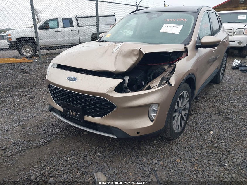 1FMCU9J94LUA59967 2020 FORD ESCAPE photo no. 6