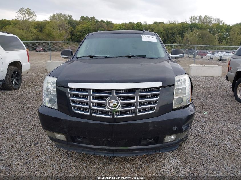 2010 Cadillac Escalade VIN: 1GYUKPEF0AR267737 Lot: 43284148