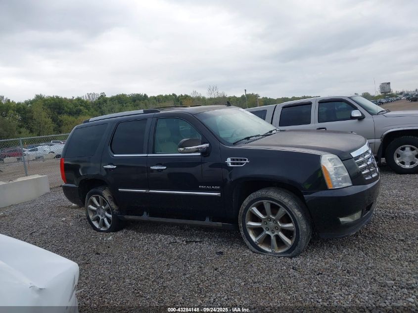 2010 Cadillac Escalade VIN: 1GYUKPEF0AR267737 Lot: 43284148