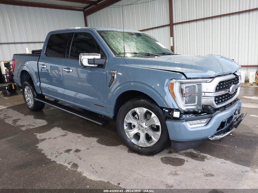 FORD F-150 PLATINUM